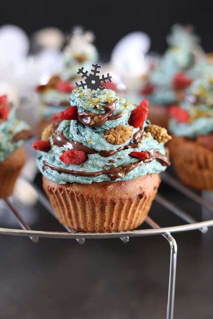 Nutty Wonderland Cupcake